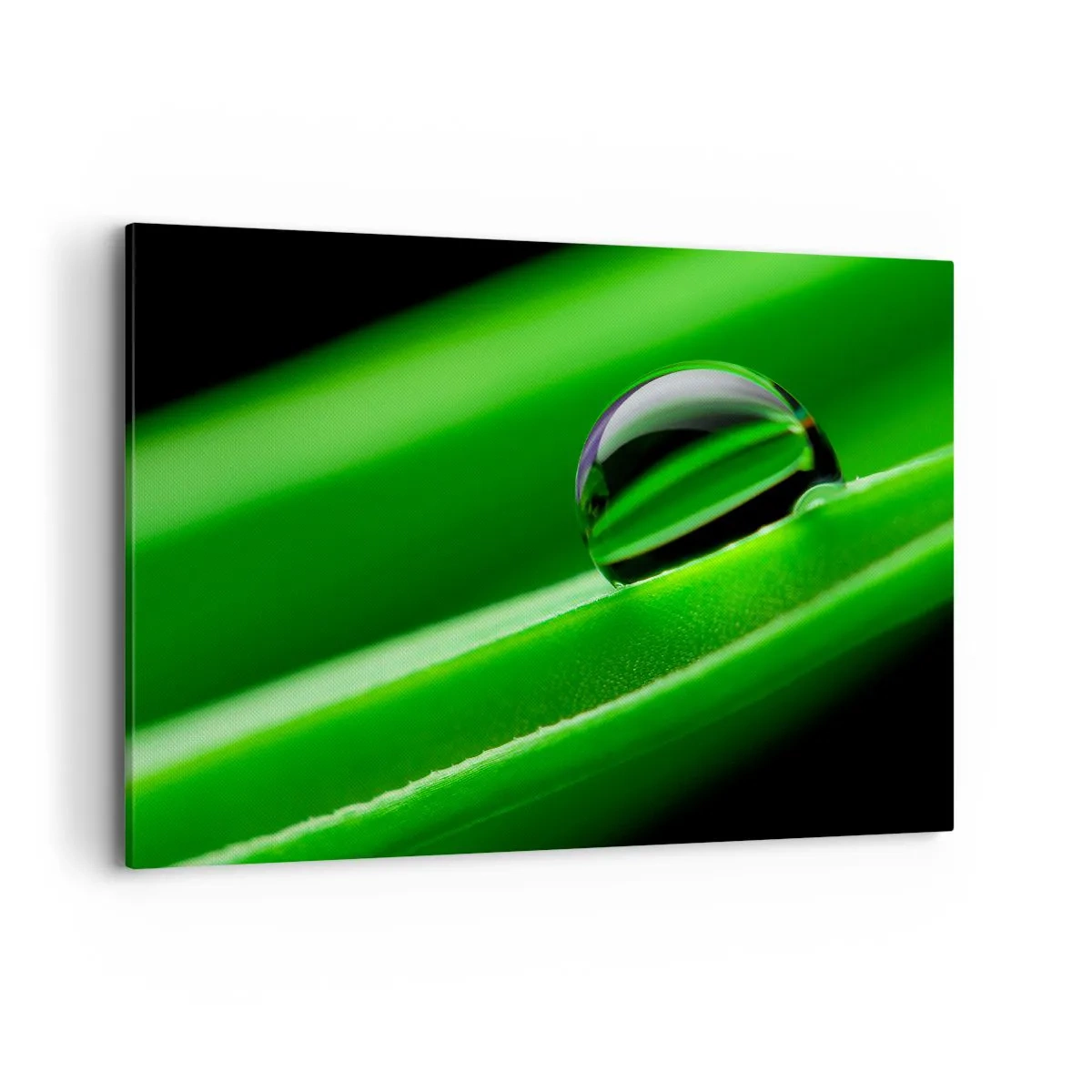 Canvas picture - Life from a Close-Up - 120x80 cm