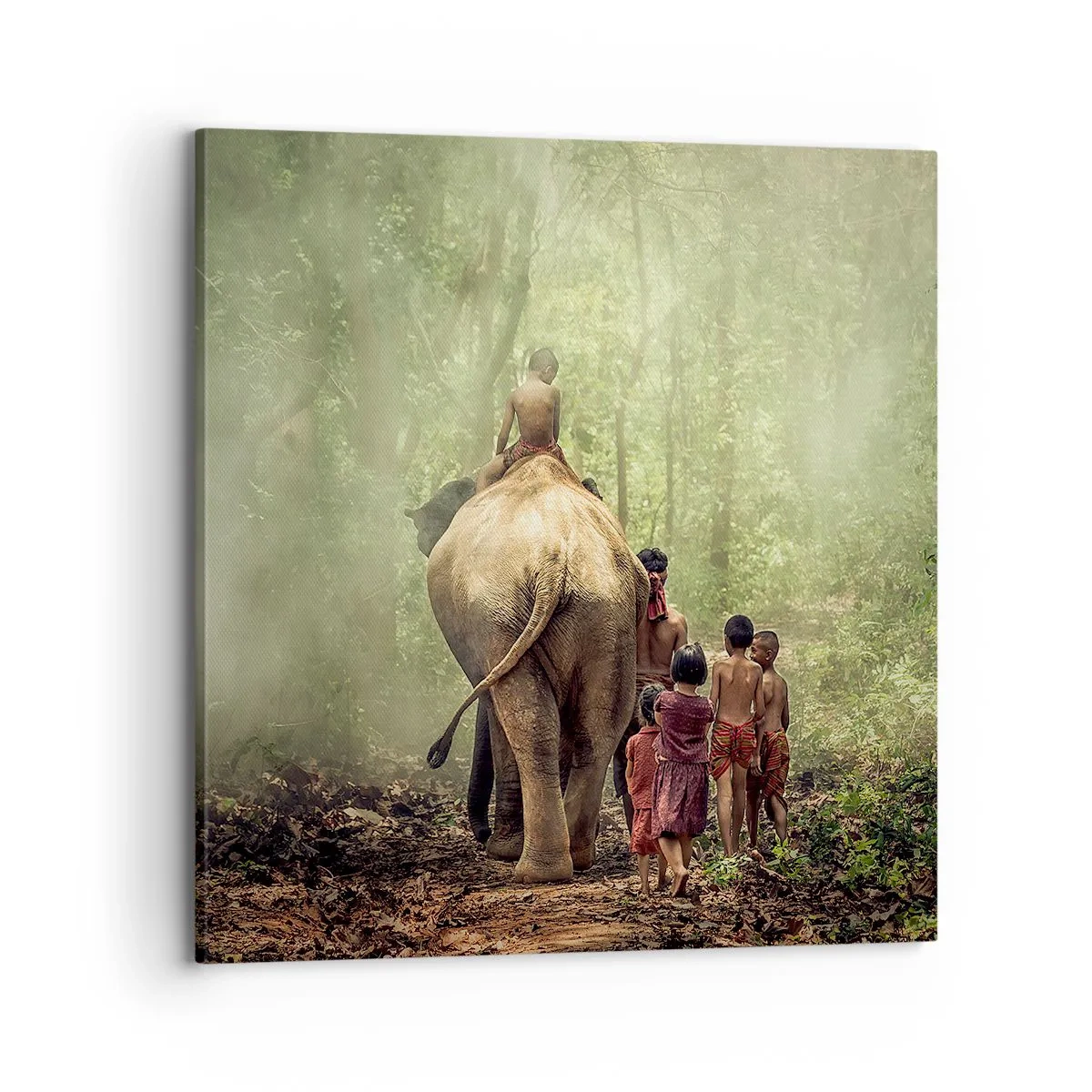 Canvas picture - New Jungle Book - 70x70 cm