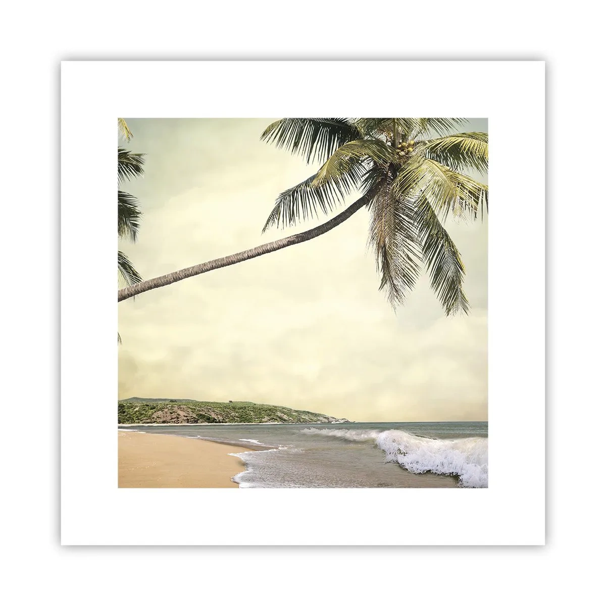 Poster - Tropical Dream - 30x30 cm