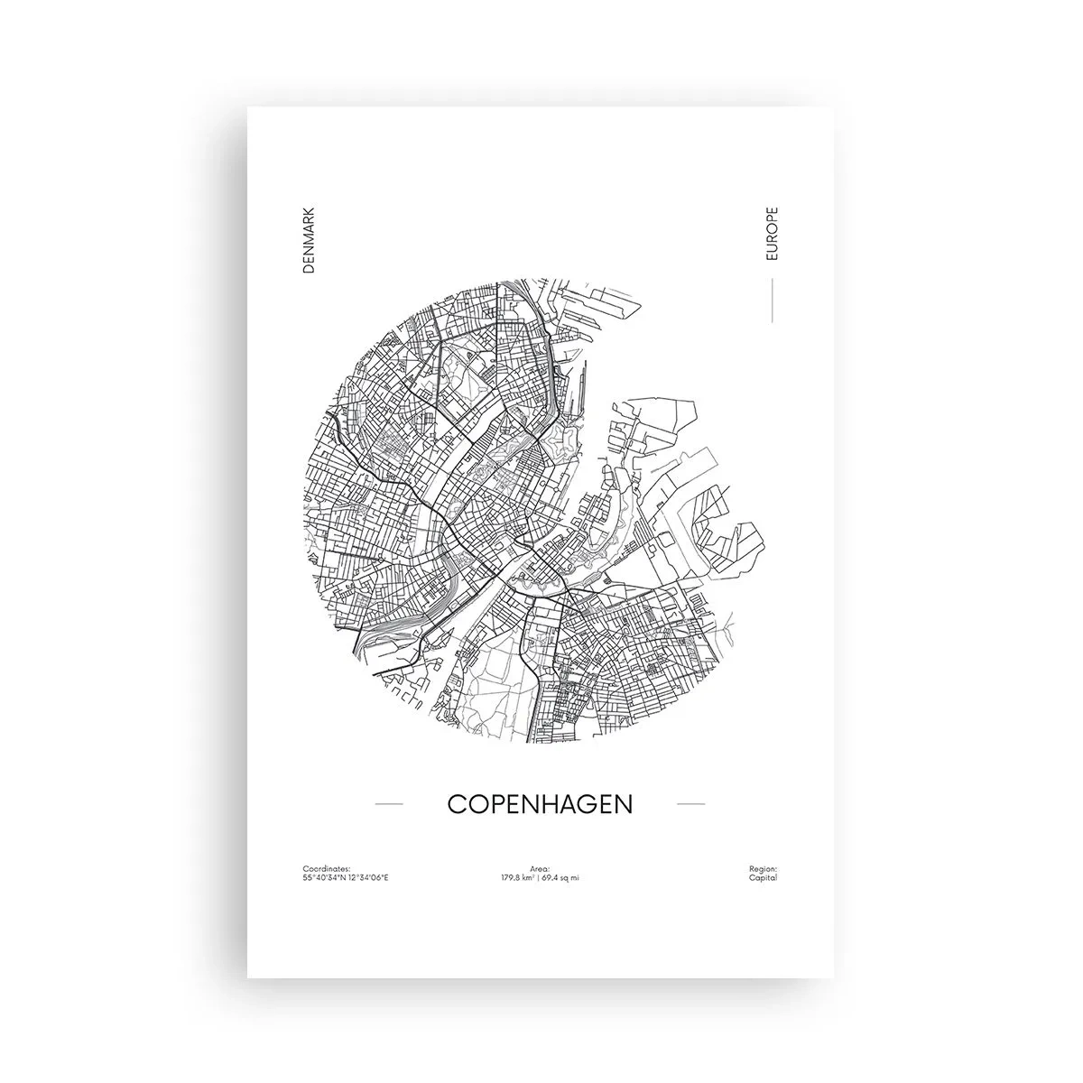 Poster - Anatomy of Copenhagen - 61x91 cm