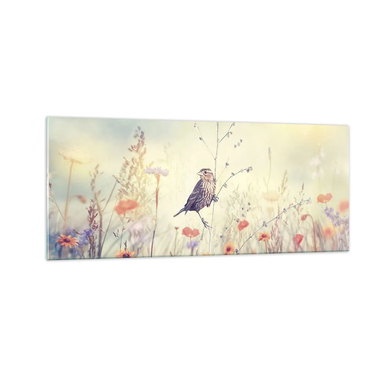 Glass picture - Bird Portrait with a Meadow in the Background - 100x40 cm