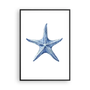 Poster in black frame - Sea Star - 70x100 cm