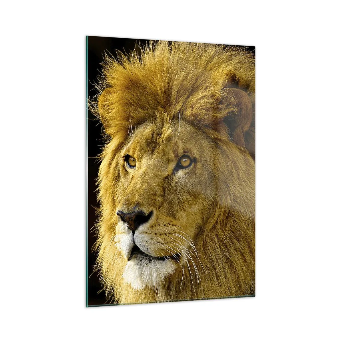 Glass picture - Portrait of a King - 50x70 cm
