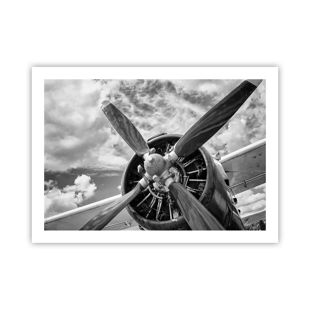 Poster - Conquerer of the Skies - 70x50 cm