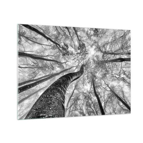 Glass picture - Black and white trees photographed from below towards the sky - 70x50cm - Race for the Light - Modern wall decoration for the living room and bedroom ARTTOR