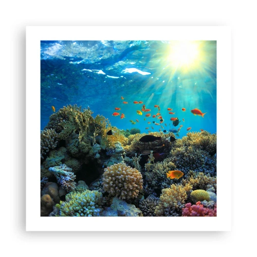 Poster - Underwater Treasures - 50x50 cm
