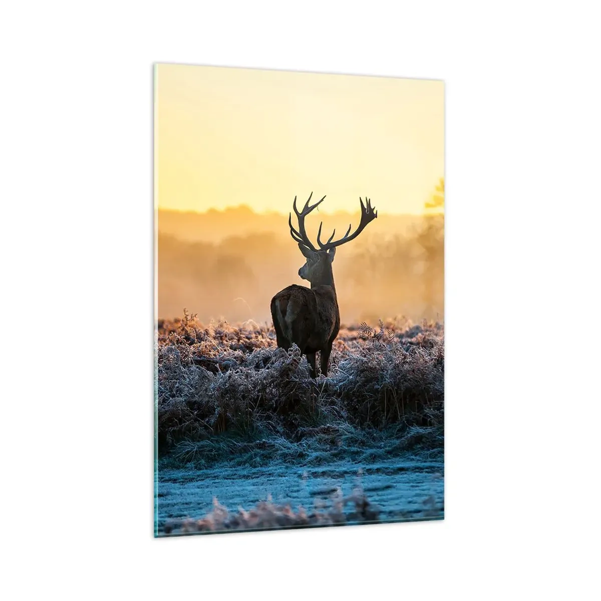 Glass picture - Crowned in Its Kingdom - 80x120 cm