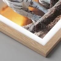 Light Oak