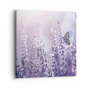 Canvas picture - Kiss of a Butterfly - 40x40 cm