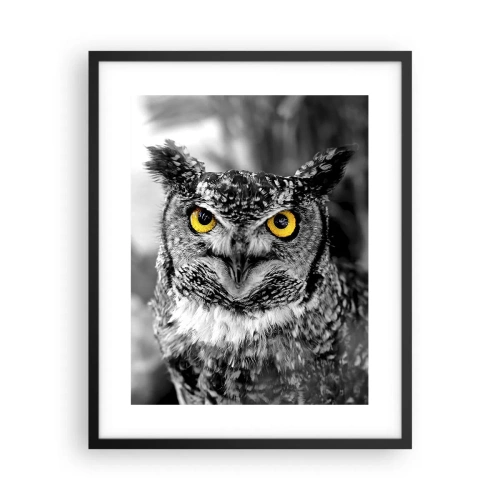 Poster in black frame - Nothing Can Hide - 40x50 cm