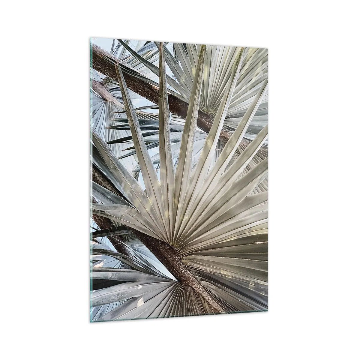 Glass picture - Fans in tropics - 50x70 cm