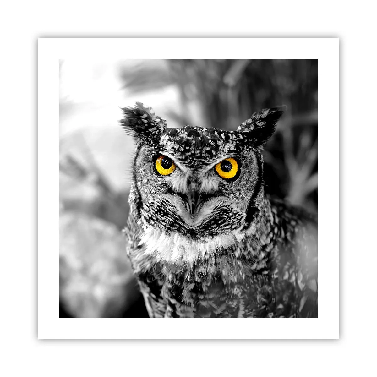 Poster - Nothing Can Hide - 50x50 cm