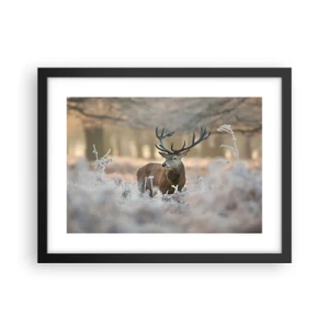 Poster in black frame - Chilly Morning - 40x30 cm
