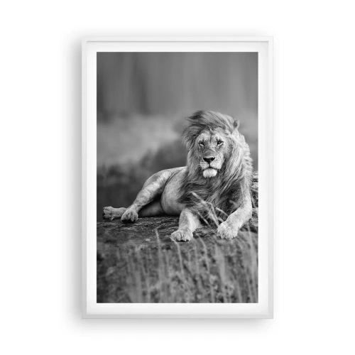 Poster in white frmae - Royal Siesta - 61x91 cm