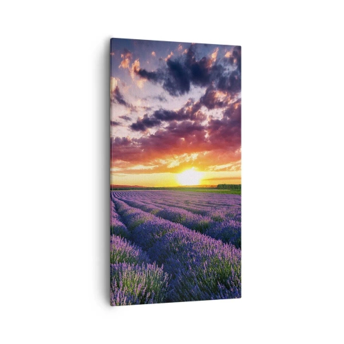 Canvas picture - Lavender World - 55x100 cm