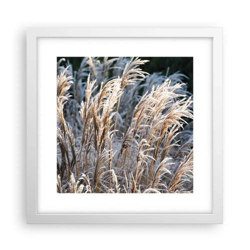 Poster in white frmae - Decorated with Frost - 30x30 cm