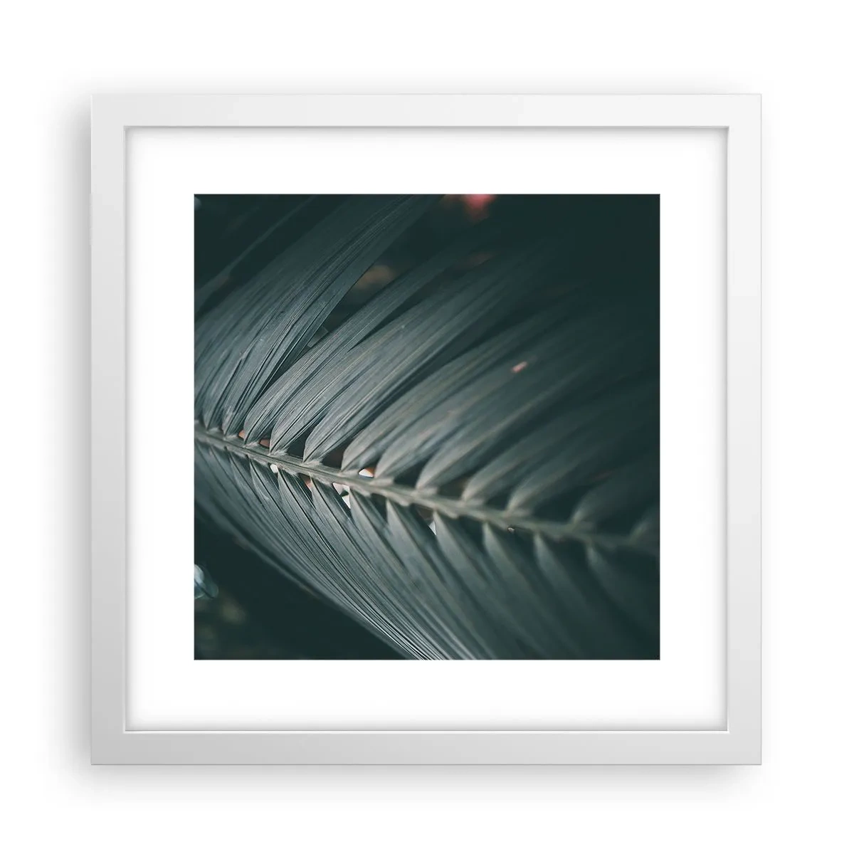 Poster in white frmae - Precision of Nature - 30x30 cm