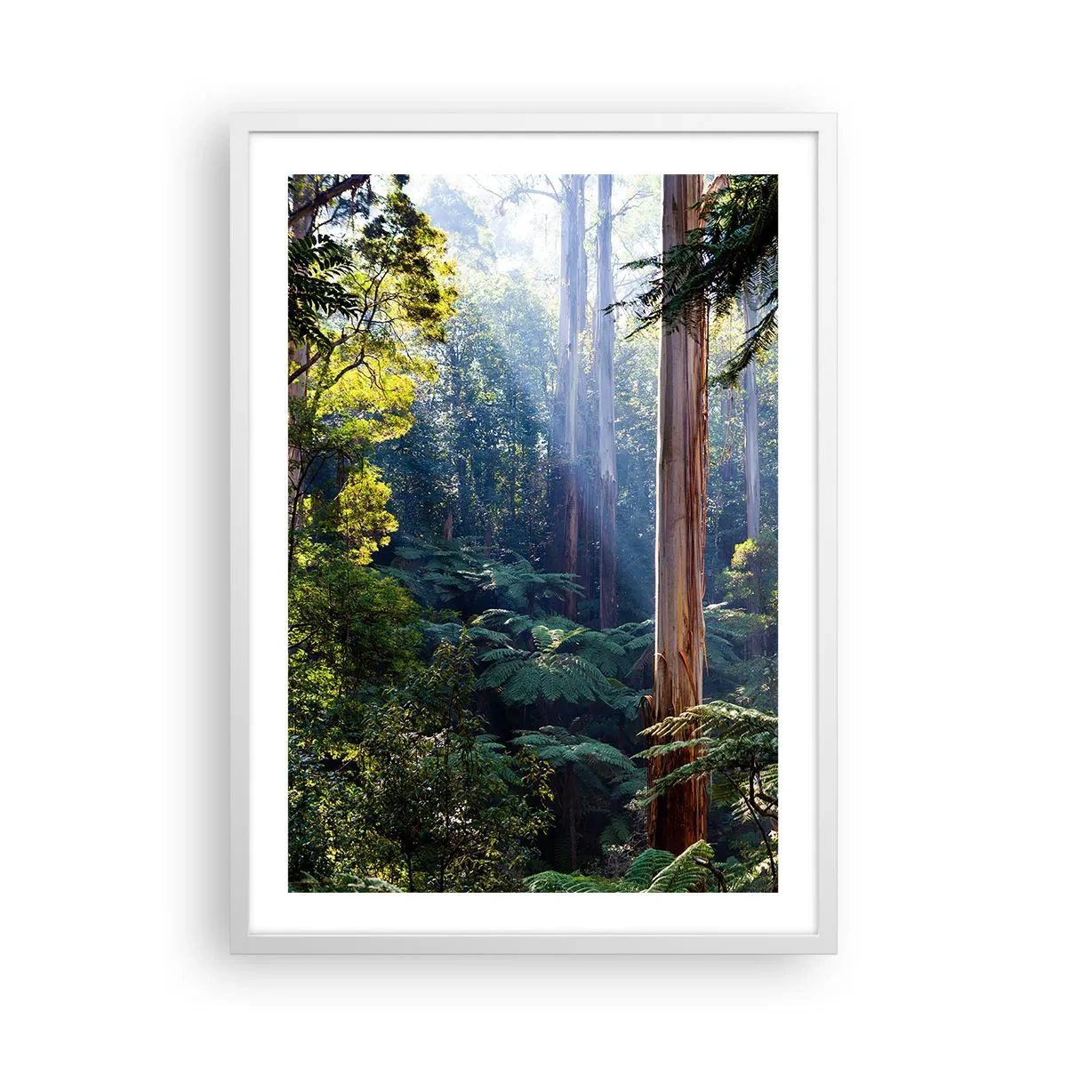Poster in white frmae - Tale of a Forest - 50x70 cm