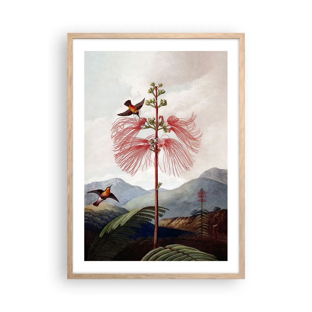 Poster in light oak frame - In a Tropical Paradise - 50x70 cm