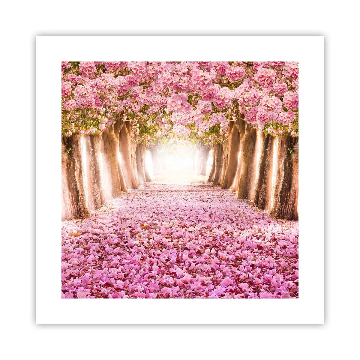 Poster - Way to Heaven - 40x40 cm