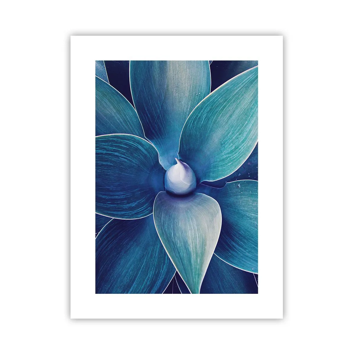 Poster - Blue from the Sky - 30x40 cm