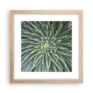 Poster in light oak frame - Birth of a Star - 30x30 cm