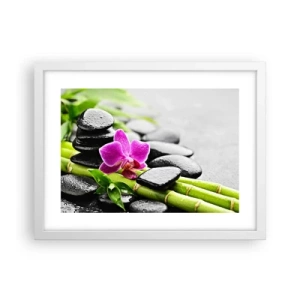 Poster in white frmae - In a Peaceful Balance - 40x30 cm