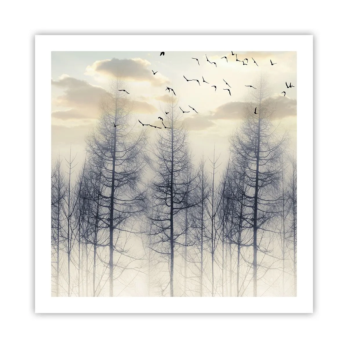 Poster - Spirits of the Forest - 60x60 cm