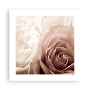 Poster - In the Heart of a Rose - 40x40 cm