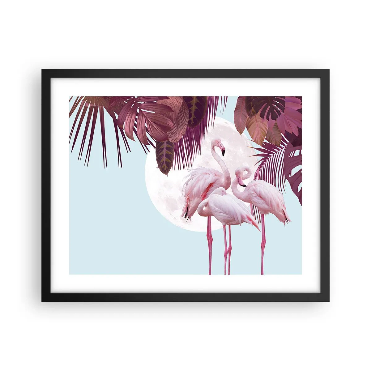Poster in black frame - Three Bird Graces - 50x40 cm