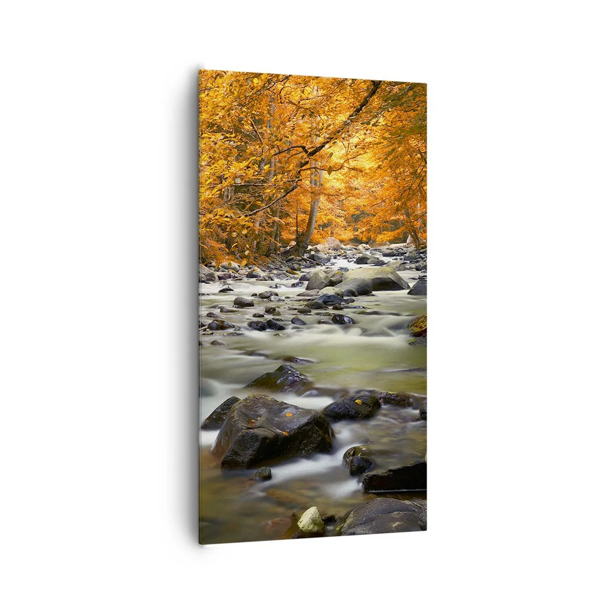 Canvas picture - Brook in a Golden Forest - 65x120 cm