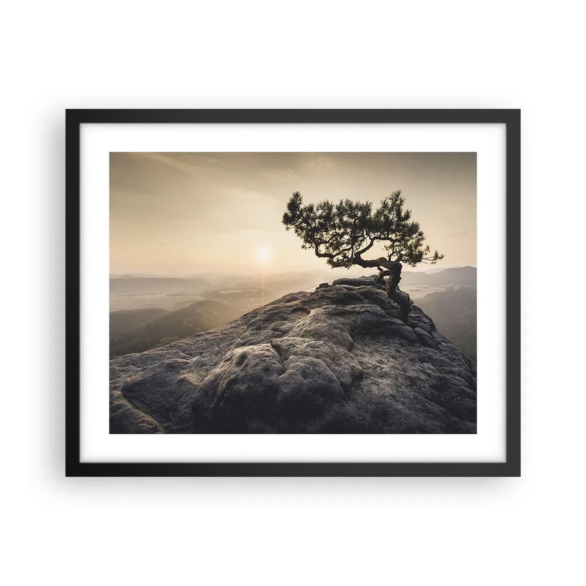 Poster in black frame - Life Always Wins - 50x40 cm
