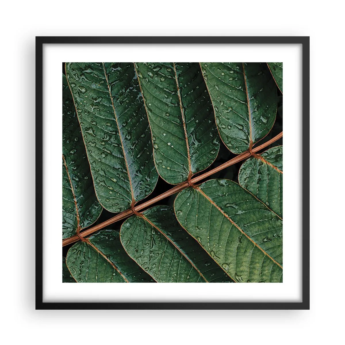 Poster in black frame - In Green Rhythm - 50x50 cm