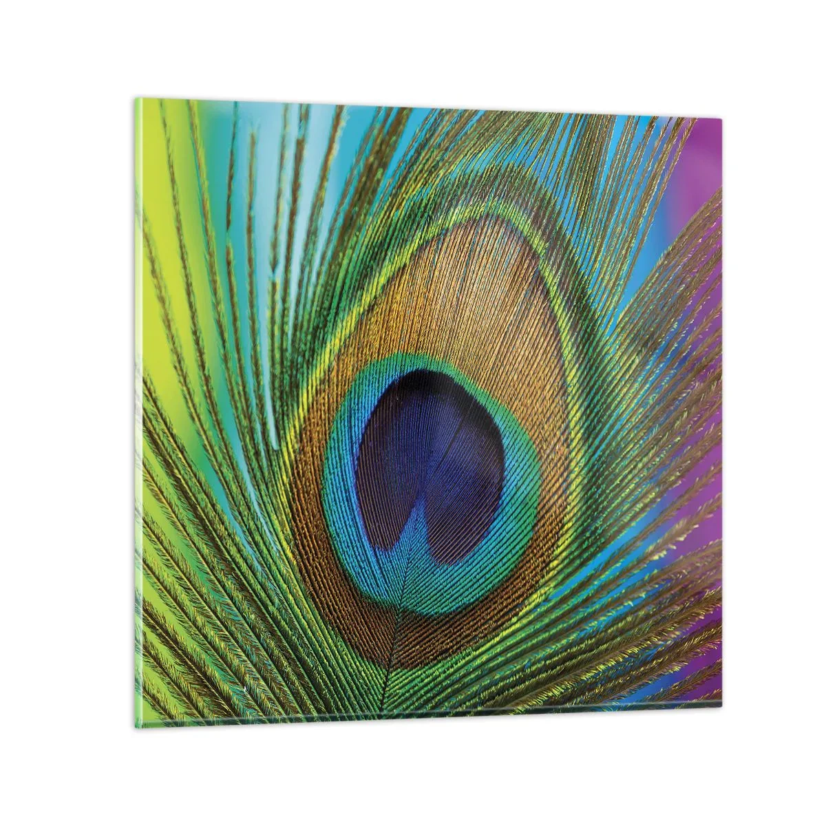 Glass picture - Eye to Eye - 30x30 cm