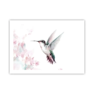 Poster - Stopped in Flutter - 70x50 cm