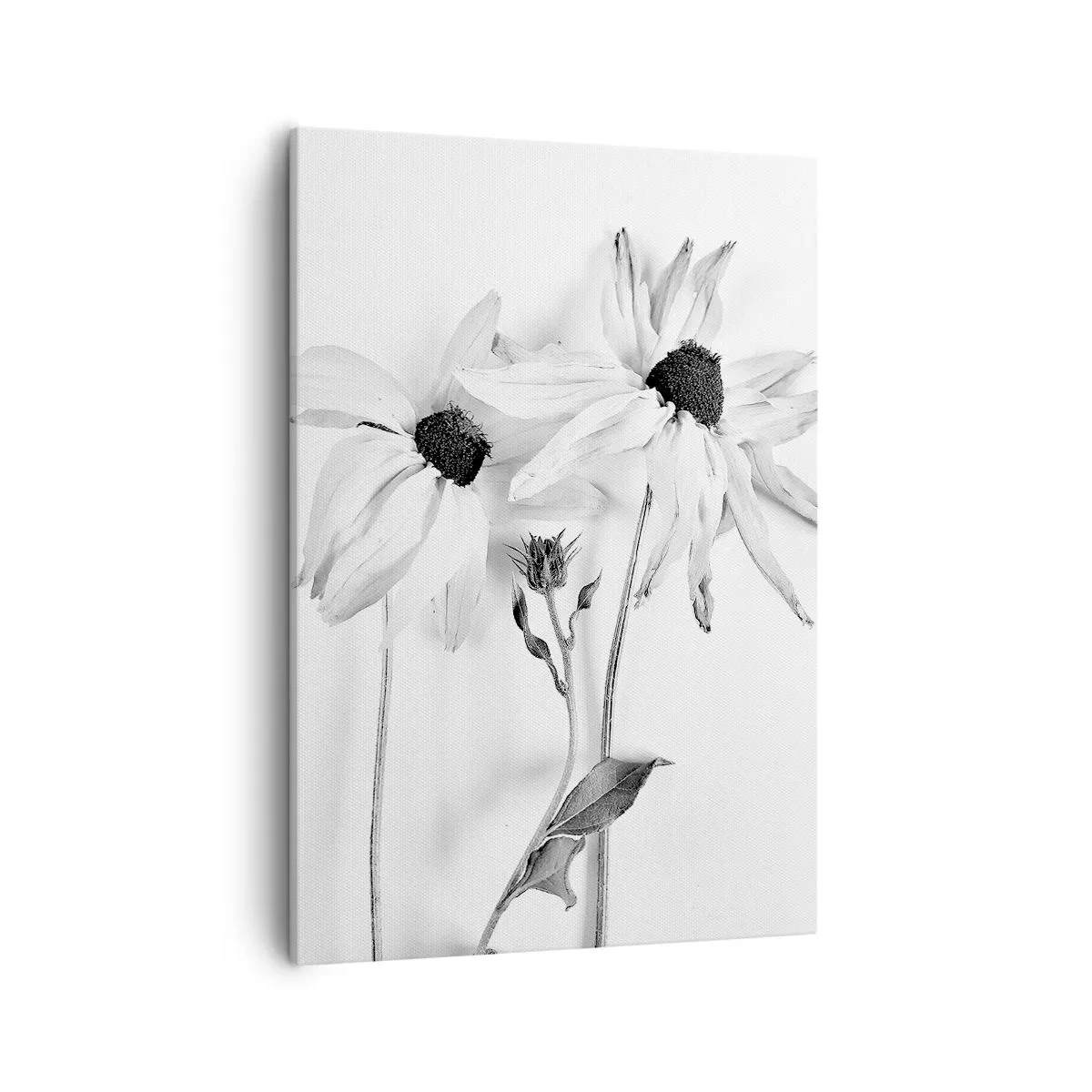 Canvas picture - No one Wants To Be Alone - 50x70 cm