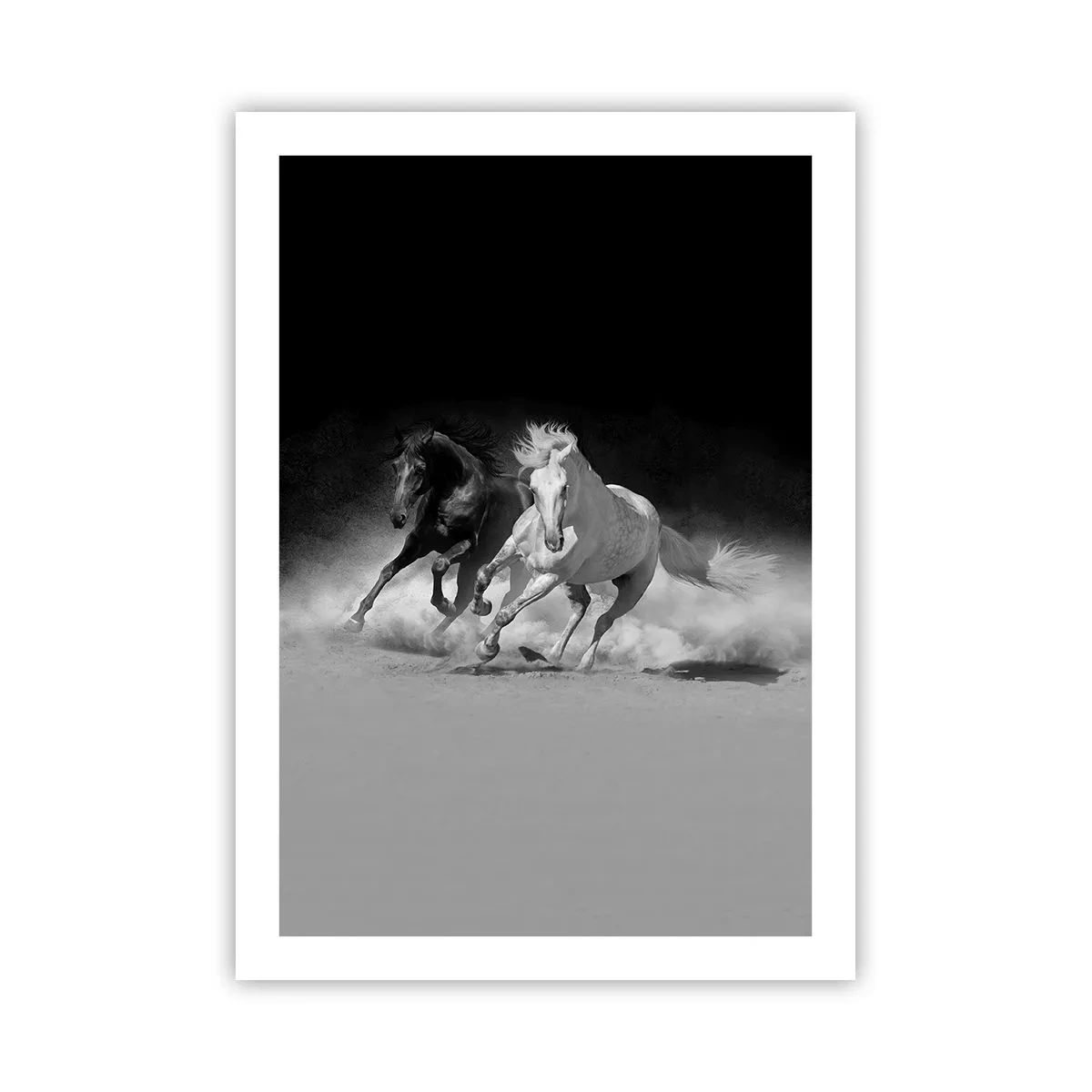 Poster - Gallop of Freedom - 50x70 cm