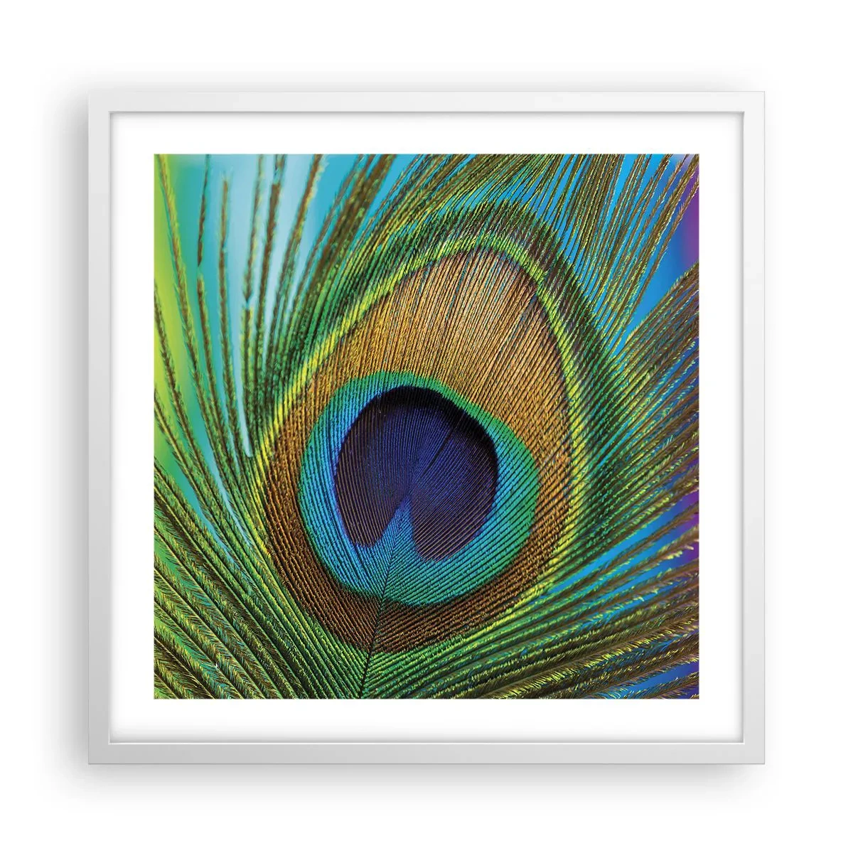 Poster in white frmae - Eye to Eye - 50x50 cm