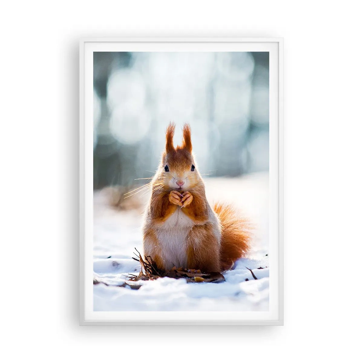 Poster in white frmae - What Are You Looking at? - 70x100 cm