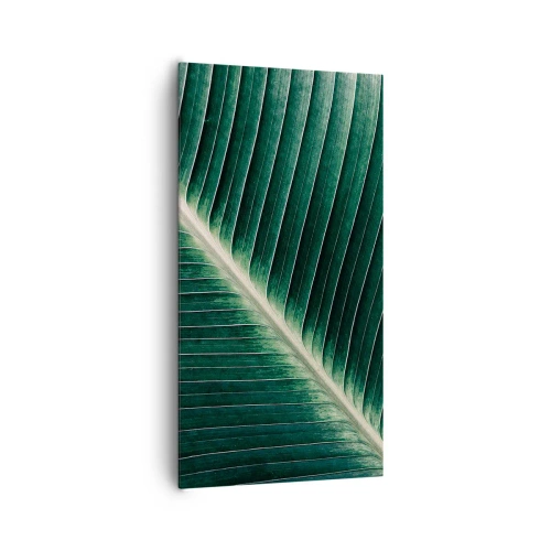 Canvas picture - Rhythm of Nature - 65x120 cm