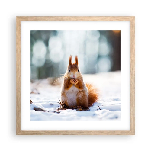 Poster in light oak frame - What Are You Looking at? - 40x40 cm