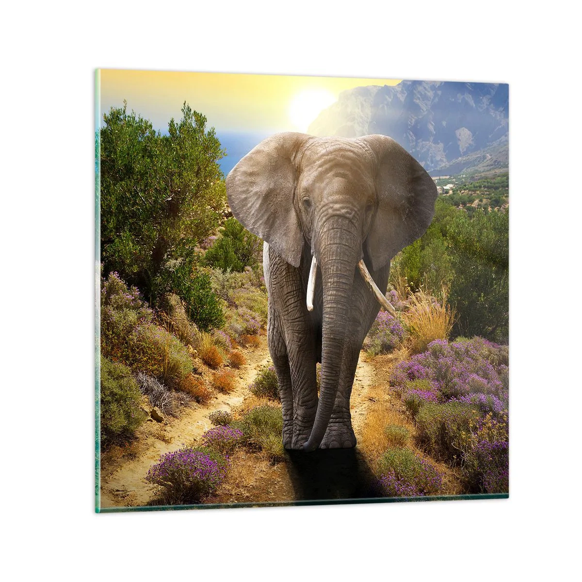 Glass picture - This is What Eden Looked Like - 60x60 cm