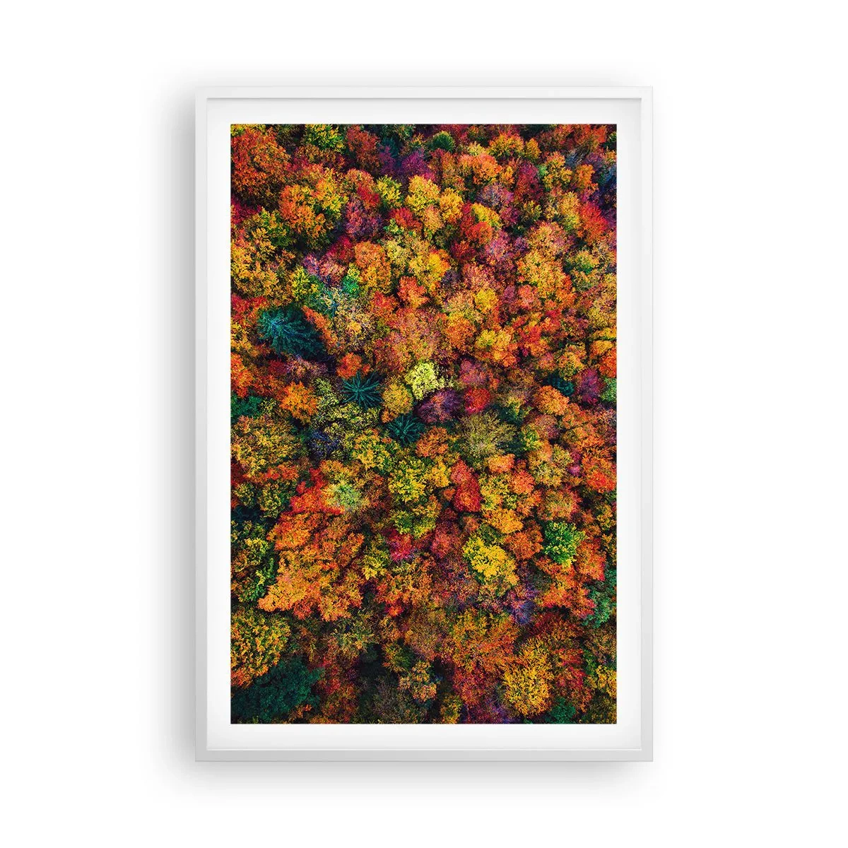 Poster in white frmae - Bouquet of Autumn Flowers - 61x91 cm