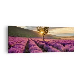 Canvas picture - Lilac Coloured Aroma - 140x50 cm