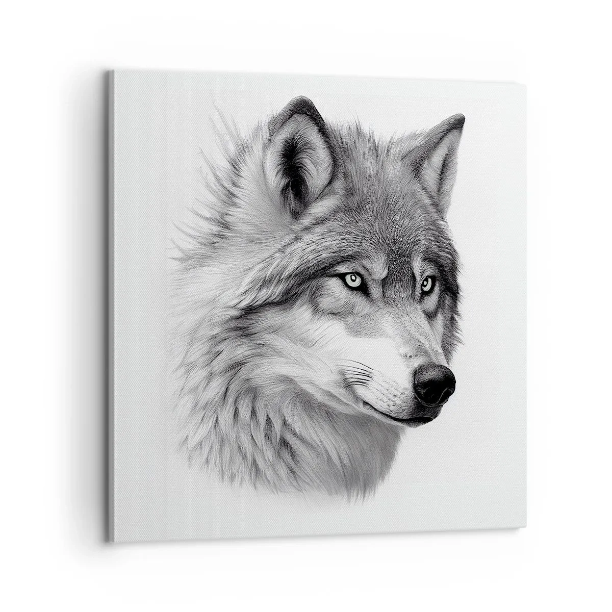Canvas picture - Alpha - Without a Doubt - 60x60 cm