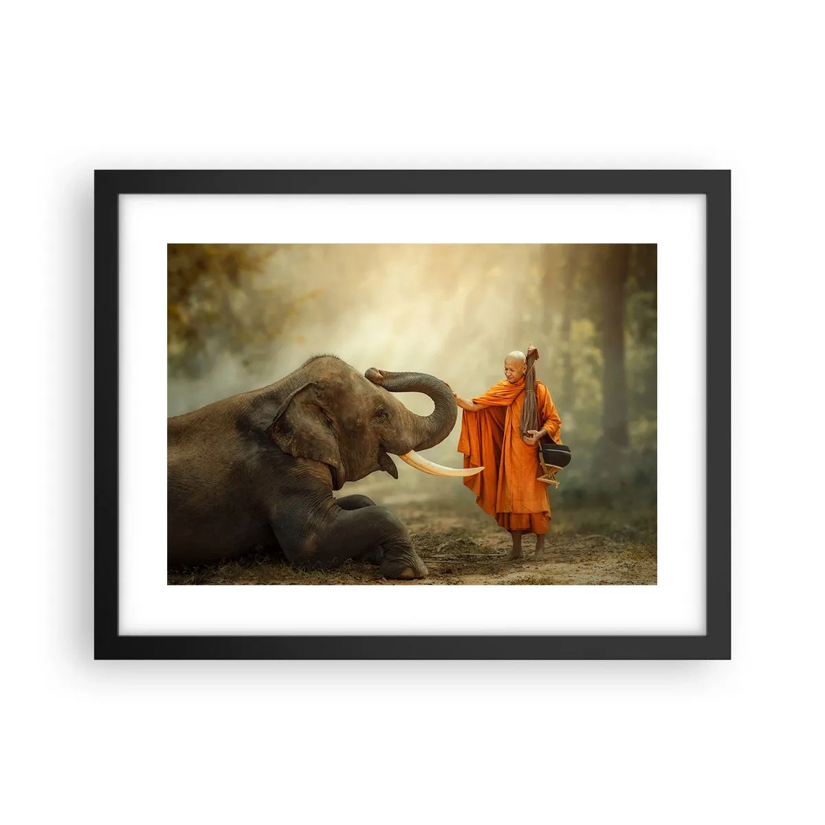 Poster in black frame - Unexpected Meeting - 40x30 cm