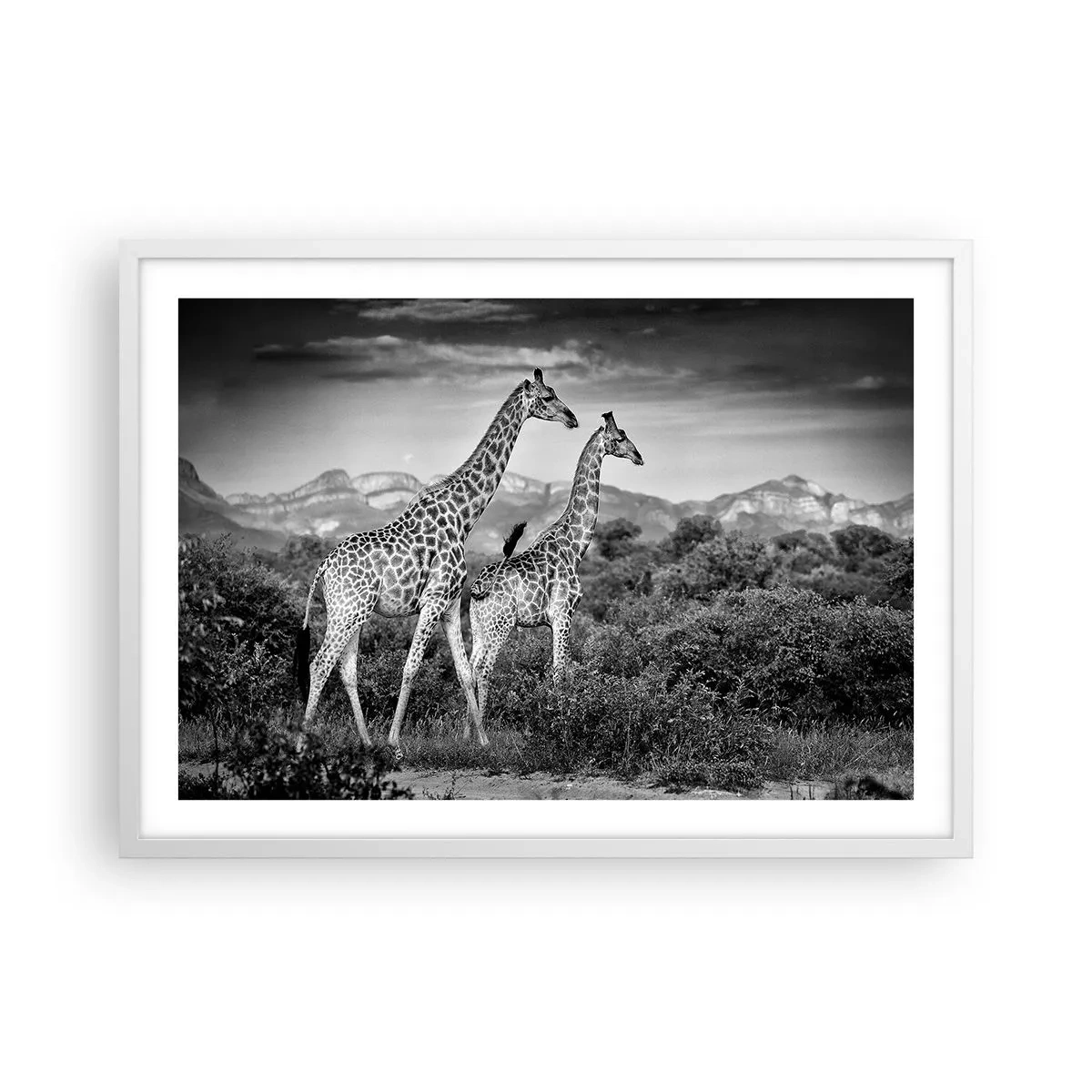 Poster in white frmae - Higher Spheres in Africa - 70x50 cm