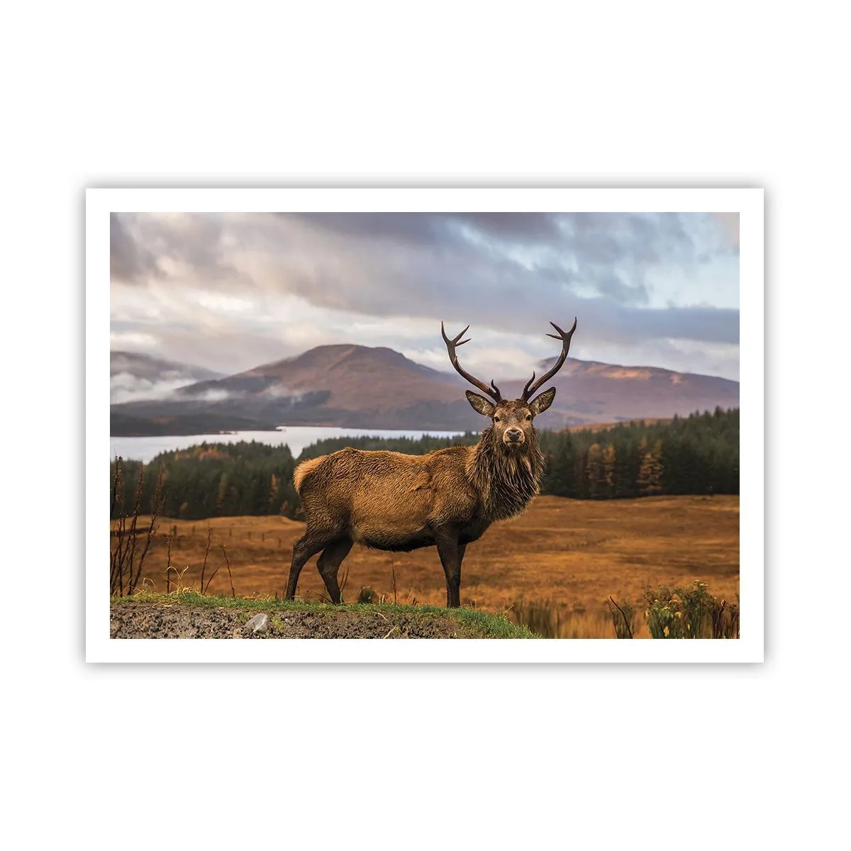 Poster - Majesty of Nature - 100x70 cm