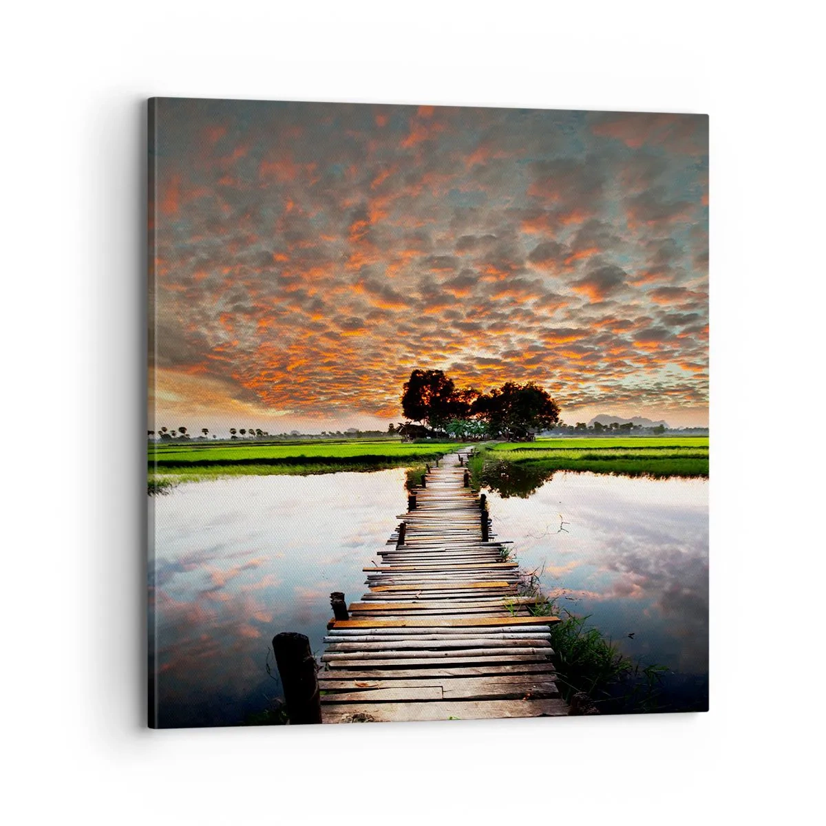 Canvas picture - Spread Your Arms and Breathe - 70x70 cm