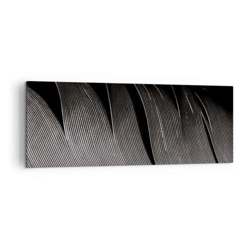 Canvas picture - Feather - Wonderful Constract - 140x50 cm